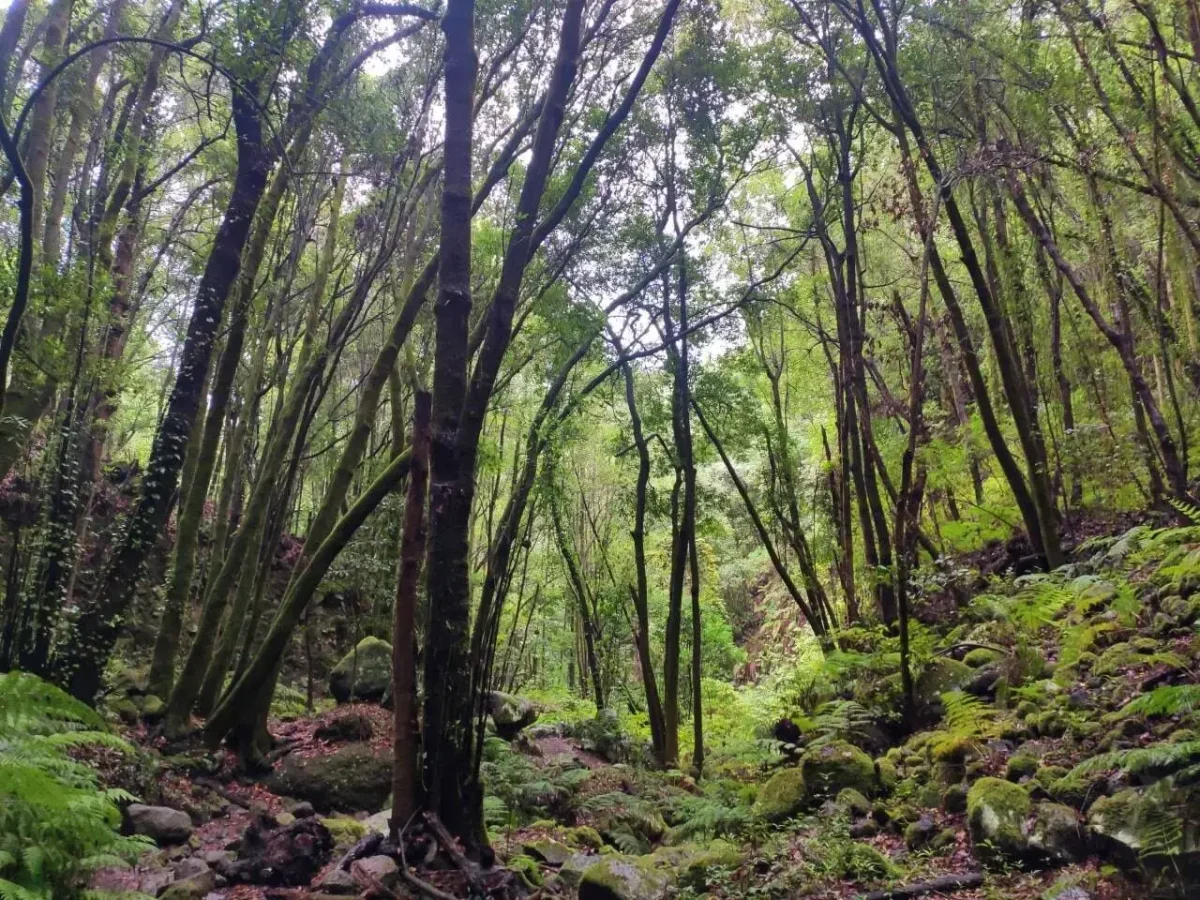 La Galga Adventure – La Palma